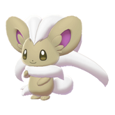 Buy Shiny 6IV Cinccino